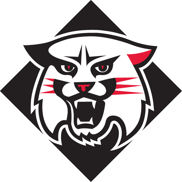 Davidson Wildcats 2010-Pres Alternate Logo diy DTF decal sticker